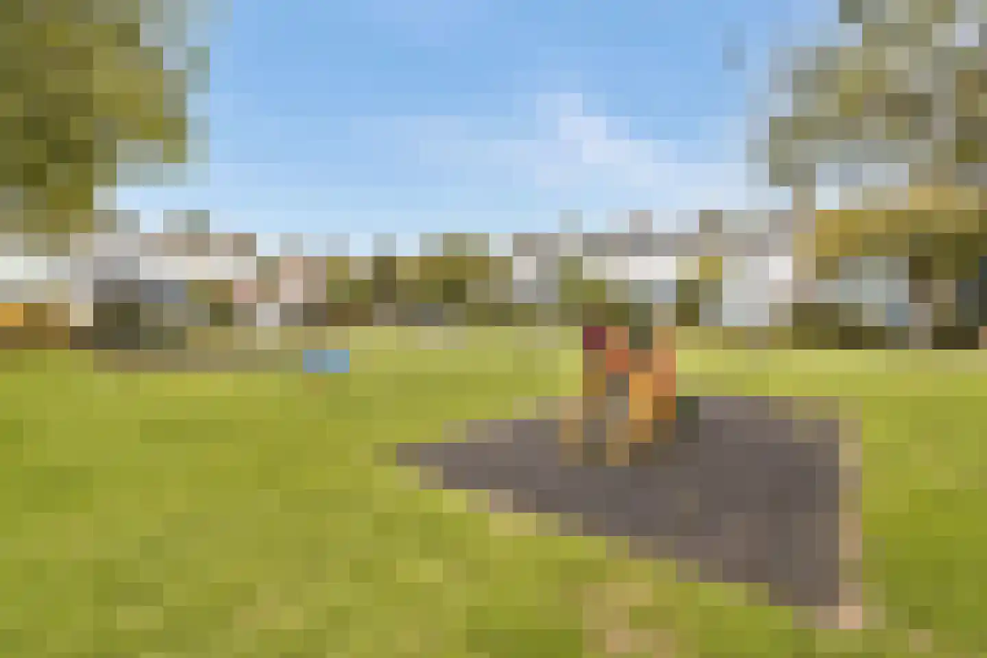 Fresiastraat 11 Spijkenisse thumbnail 26