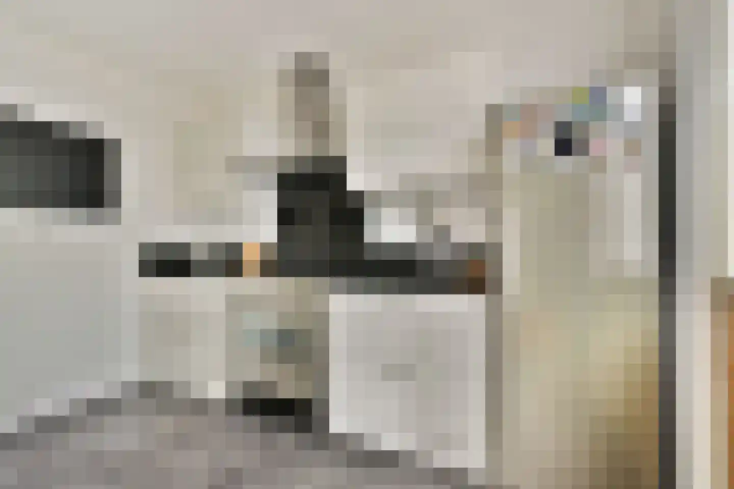 Fresiastraat 11 Spijkenisse thumbnail 4