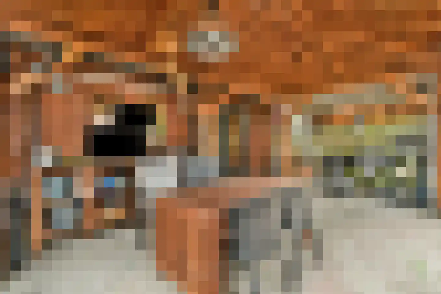 Fresiastraat 11 Spijkenisse thumbnail 6