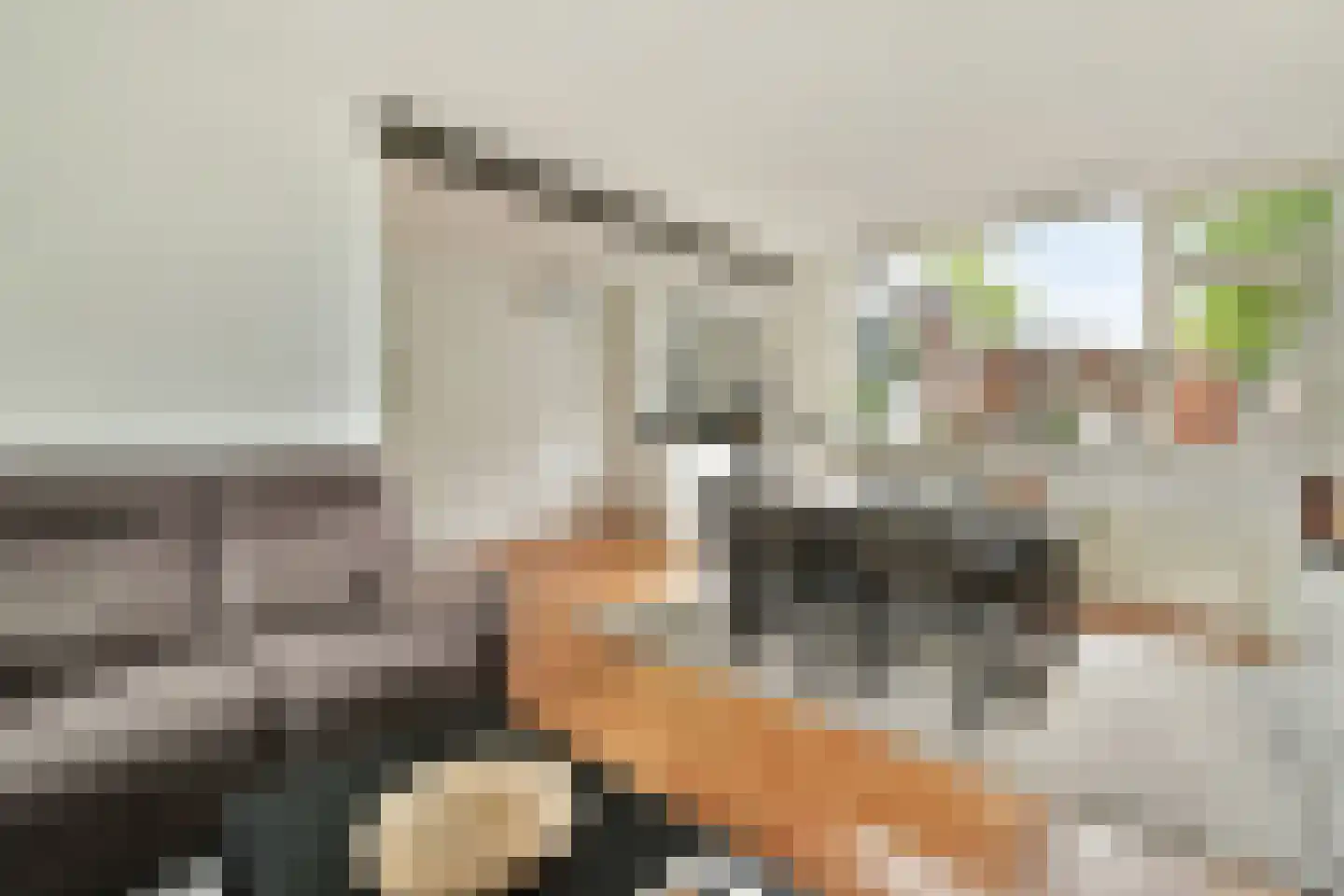 Fresiastraat 11 Spijkenisse thumbnail 8