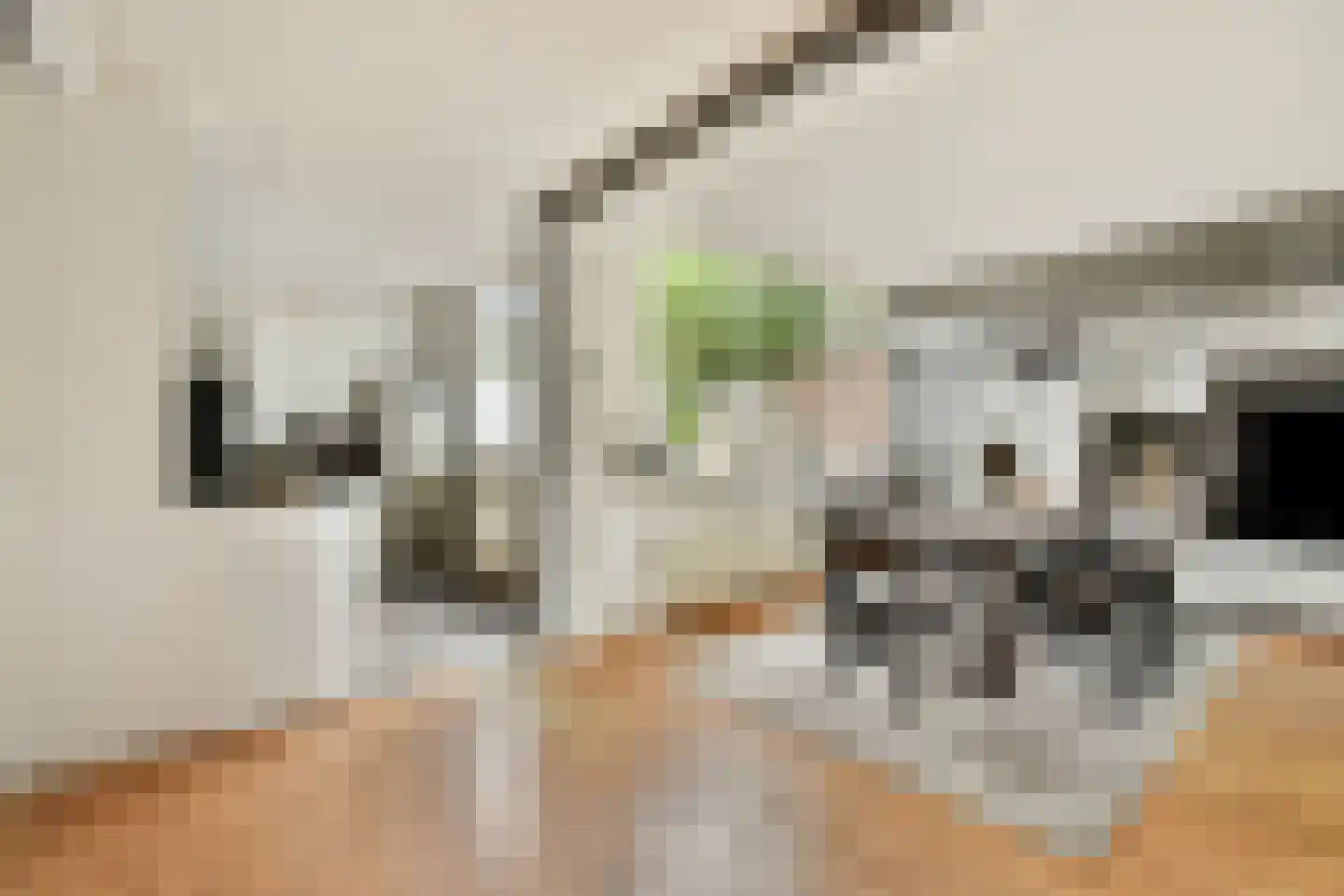 Fresiastraat 11 Spijkenisse thumbnail 9