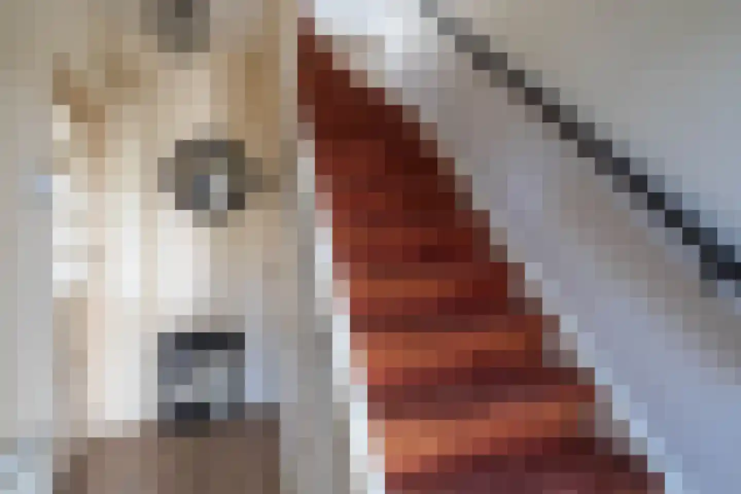 Fresiastraat 18 Wormerveer thumbnail 6