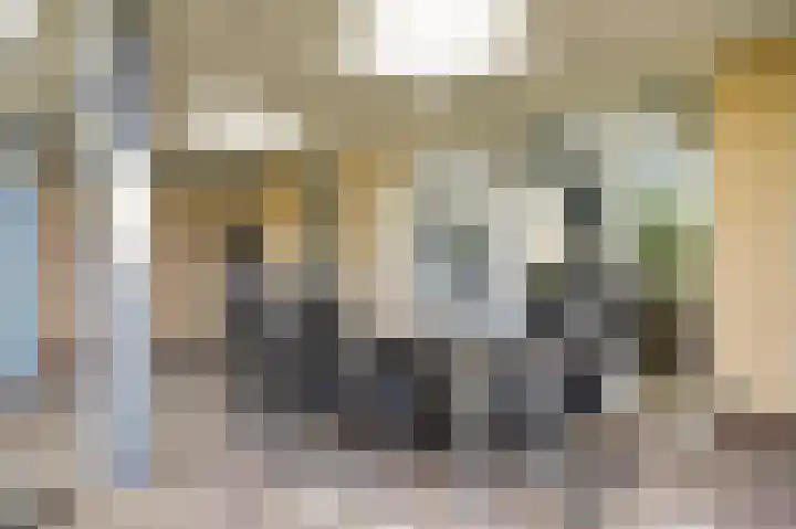 Fresiastraat 2 Hoogkarspel thumbnail 21