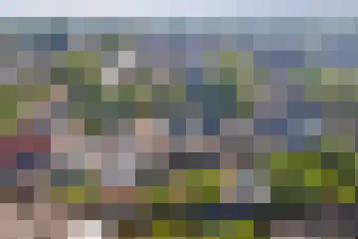 Fresiastraat 2 Hoogkarspel thumbnail 39