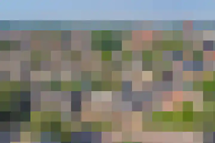 Fresiastraat 2 Hoogkarspel thumbnail 41