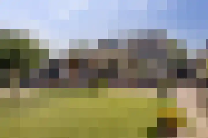 Fresiastraat 2 Hoogkarspel thumbnail 48