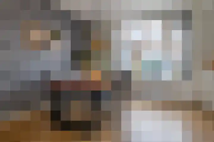 Fresiastraat 22 Sappemeer thumbnail 14