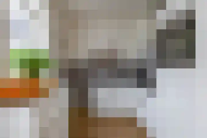Fresiastraat 22 Sappemeer thumbnail 18