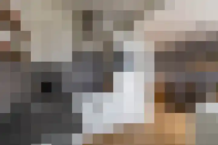 Fresiastraat 22 Sappemeer thumbnail 19