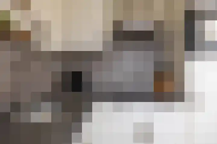 Fresiastraat 22 Sappemeer thumbnail 20