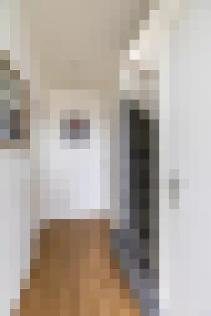 Fresiastraat 22 Sappemeer thumbnail 22