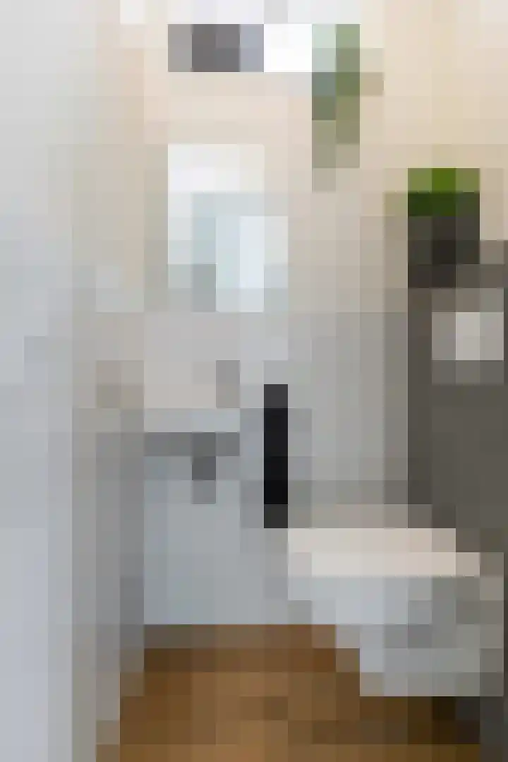 Fresiastraat 22 Sappemeer thumbnail 23