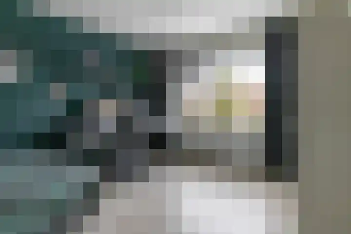 Fresiastraat 22 Sappemeer thumbnail 25