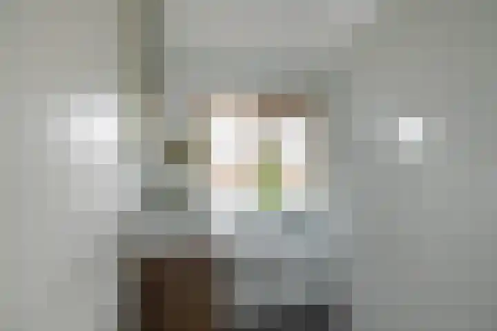 Fresiastraat 22 Sappemeer thumbnail 29