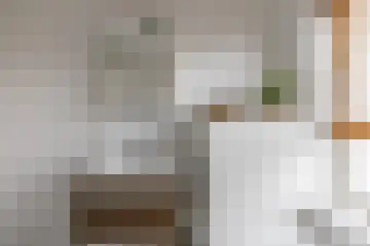 Fresiastraat 22 Sappemeer thumbnail 31