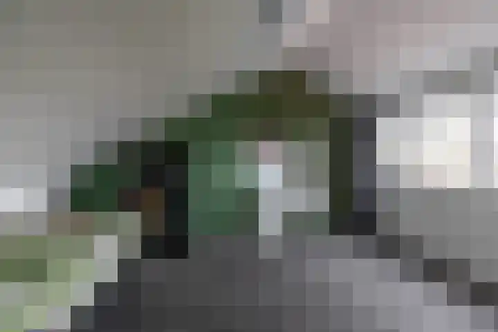 Fresiastraat 22 Sappemeer thumbnail 35