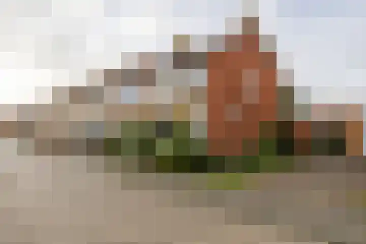 Fresiastraat 22 Sappemeer thumbnail 4