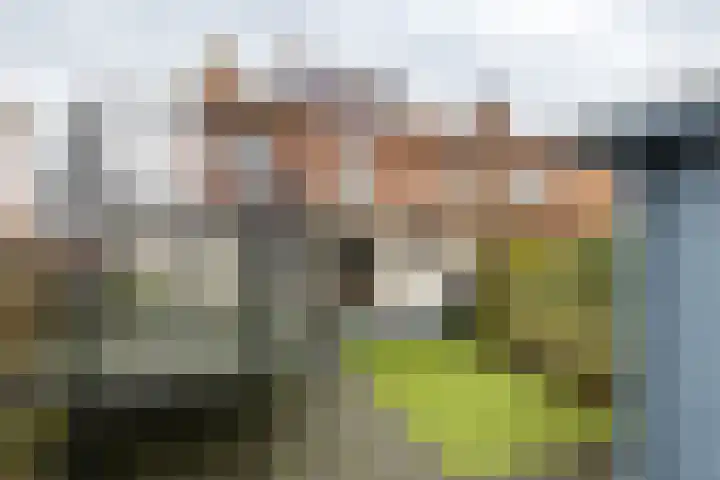 Fresiastraat 22 Sappemeer thumbnail 43