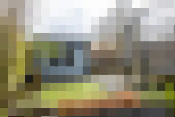 Fresiastraat 22 Sappemeer thumbnail 45