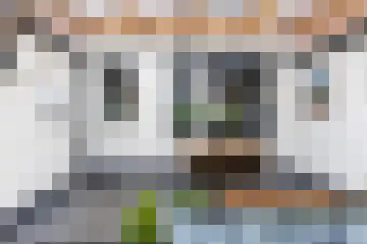 Fresiastraat 22 Sappemeer thumbnail 47