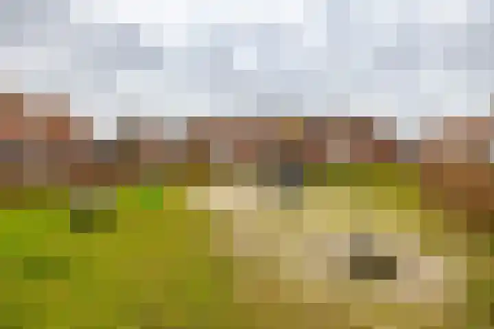 Fresiastraat 22 Sappemeer thumbnail 49