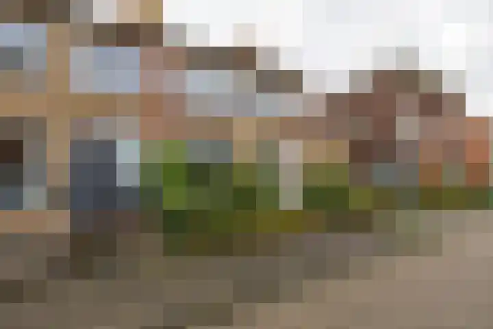 Fresiastraat 22 Sappemeer thumbnail 5