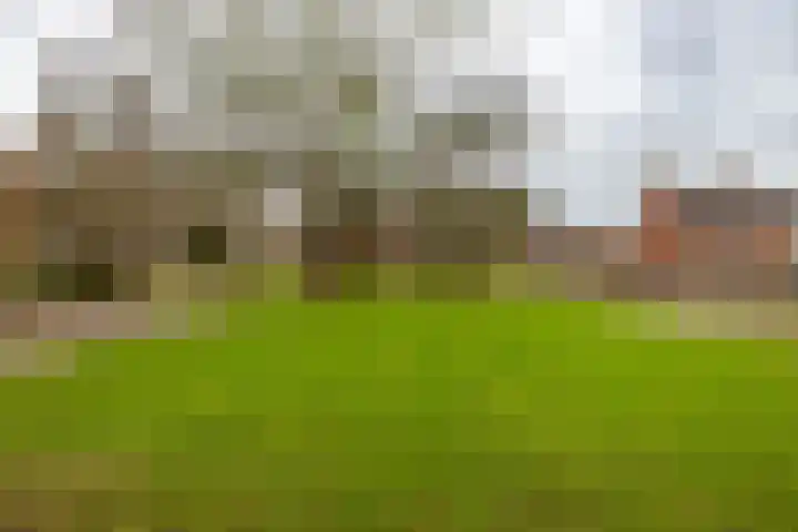 Fresiastraat 22 Sappemeer thumbnail 50