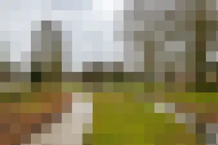 Fresiastraat 22 Sappemeer thumbnail 51