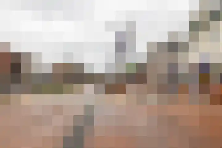 Fresiastraat 22 Sappemeer thumbnail 52