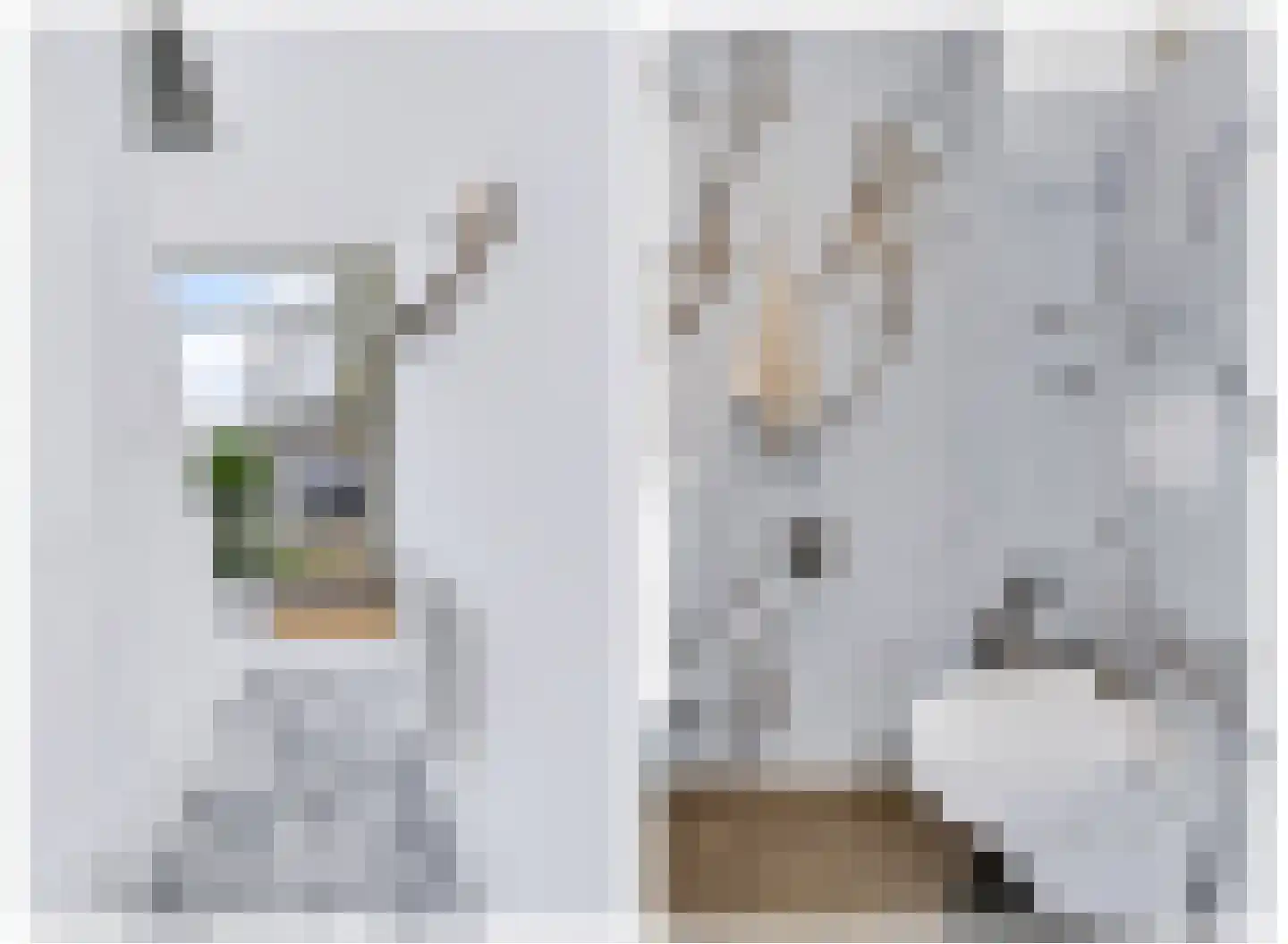 Fresiastraat 24 Spijkenisse thumbnail 10