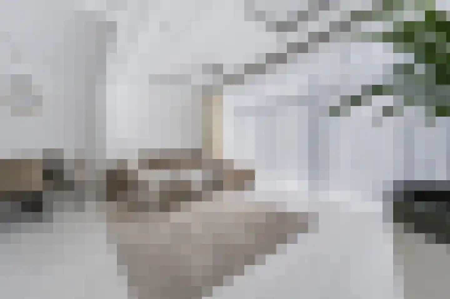 Fresiastraat 24 Spijkenisse thumbnail 11