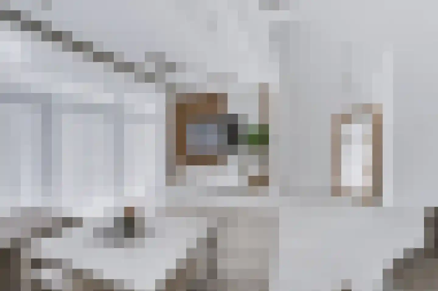 Fresiastraat 24 Spijkenisse thumbnail 12