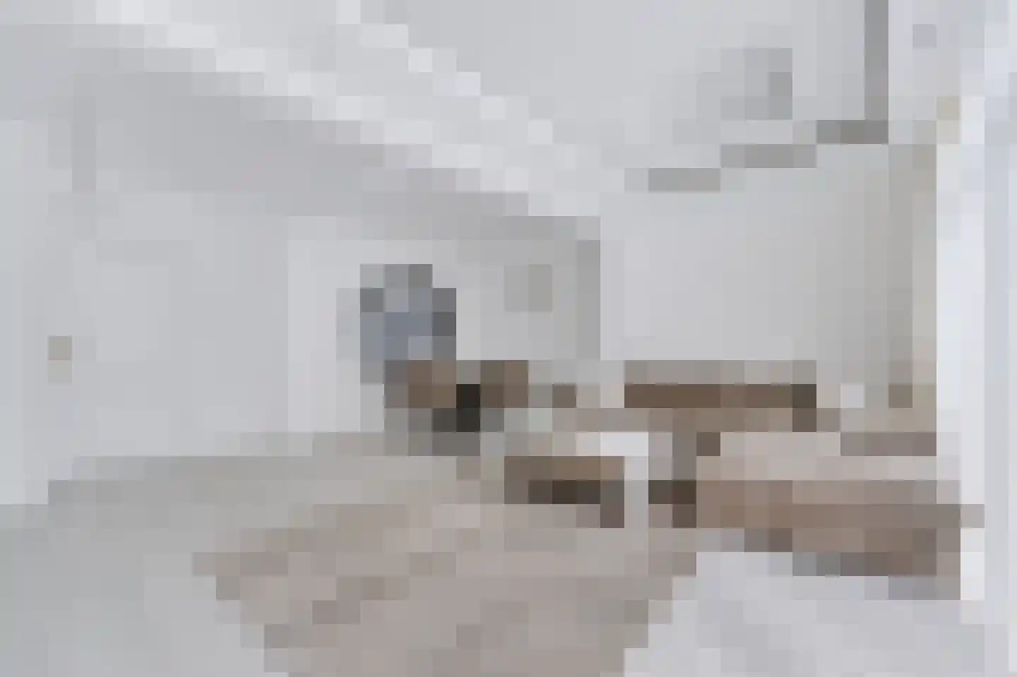 Fresiastraat 24 Spijkenisse thumbnail 13
