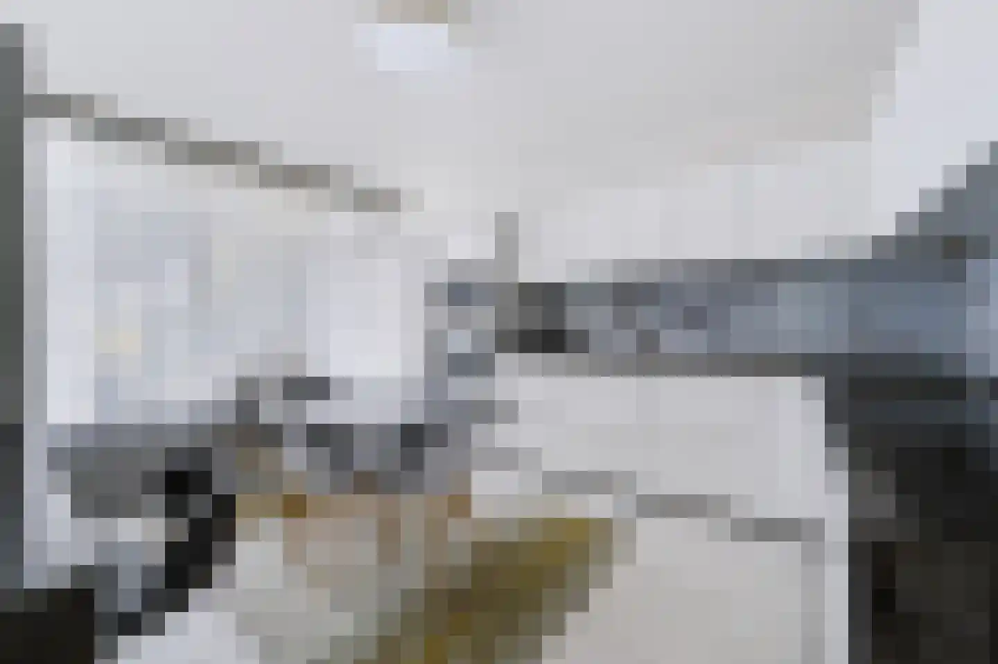 Fresiastraat 24 Spijkenisse thumbnail 14