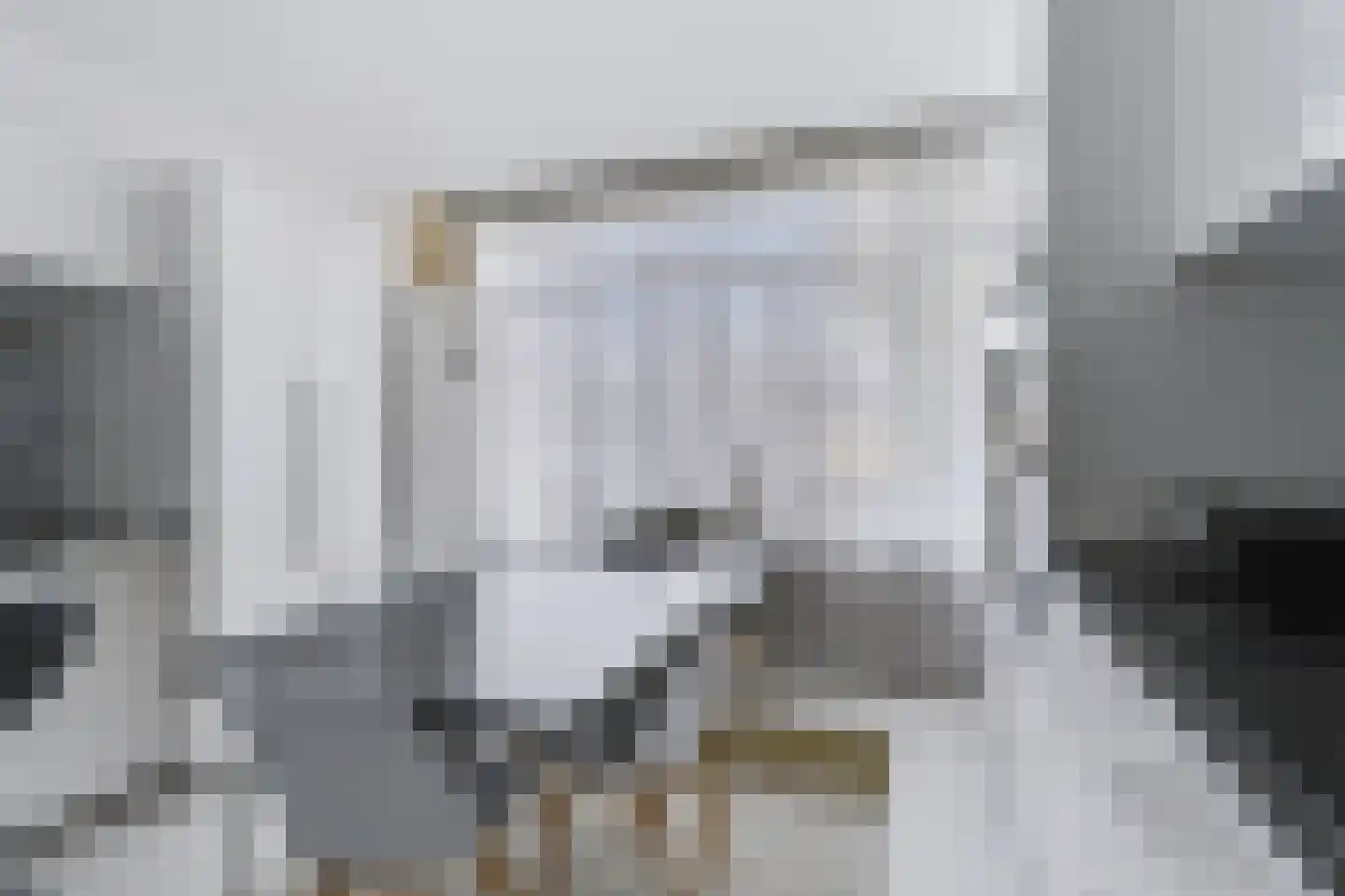 Fresiastraat 24 Spijkenisse thumbnail 15
