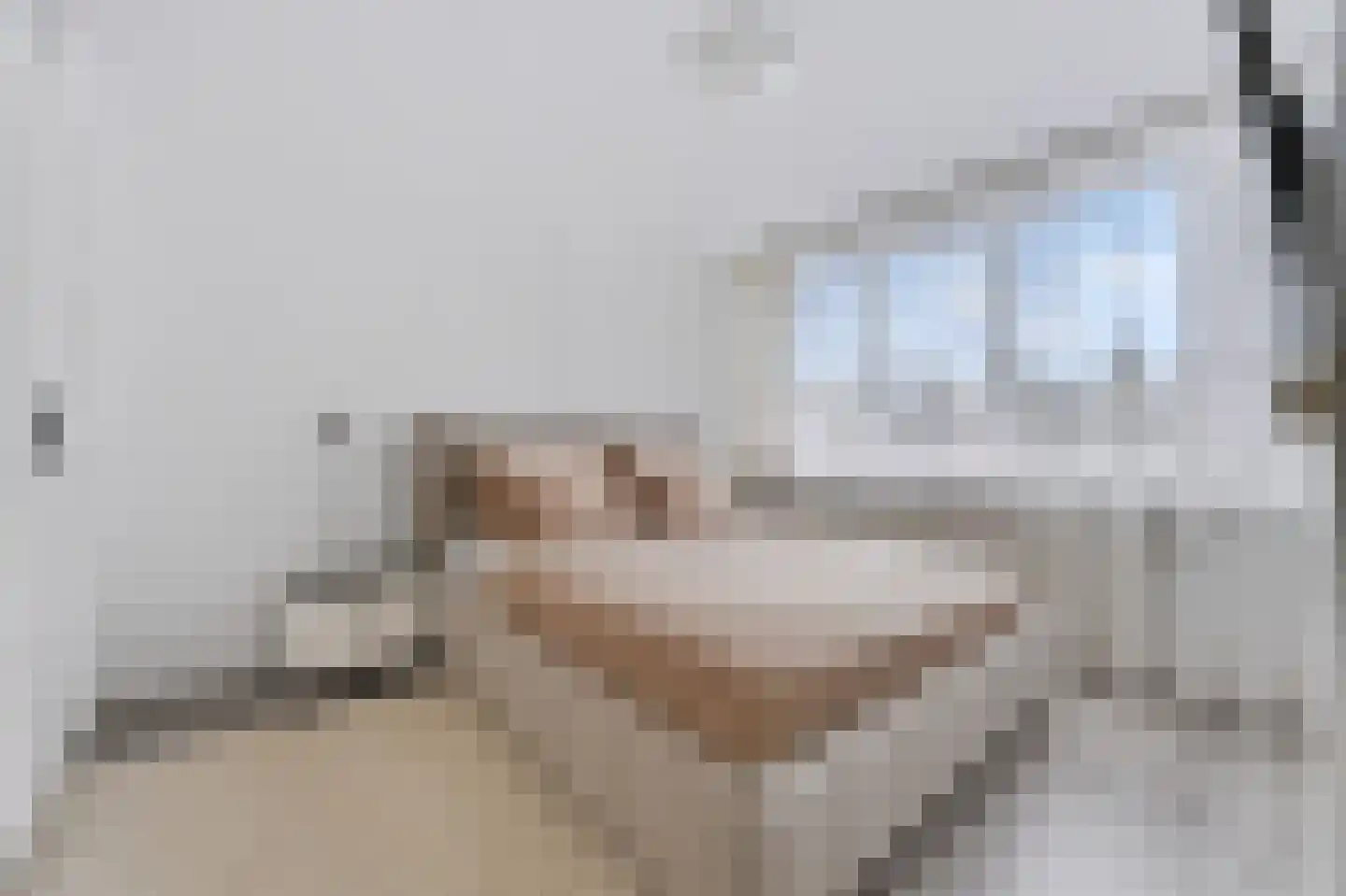 Fresiastraat 24 Spijkenisse thumbnail 19