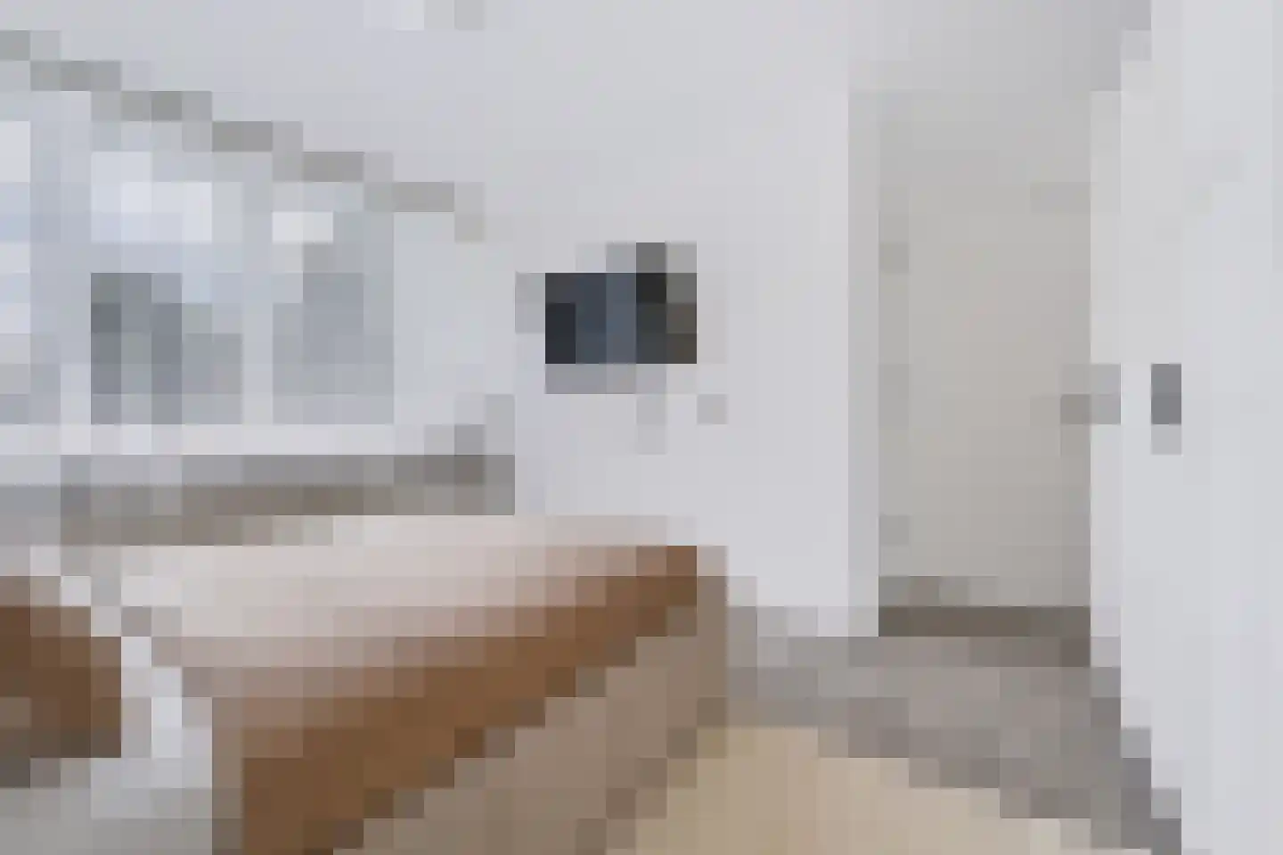 Fresiastraat 24 Spijkenisse thumbnail 20
