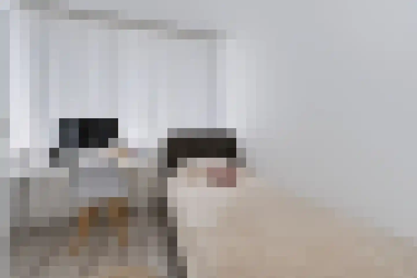 Fresiastraat 24 Spijkenisse thumbnail 25