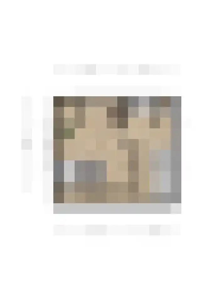 Fresiastraat 24 Spijkenisse thumbnail 26