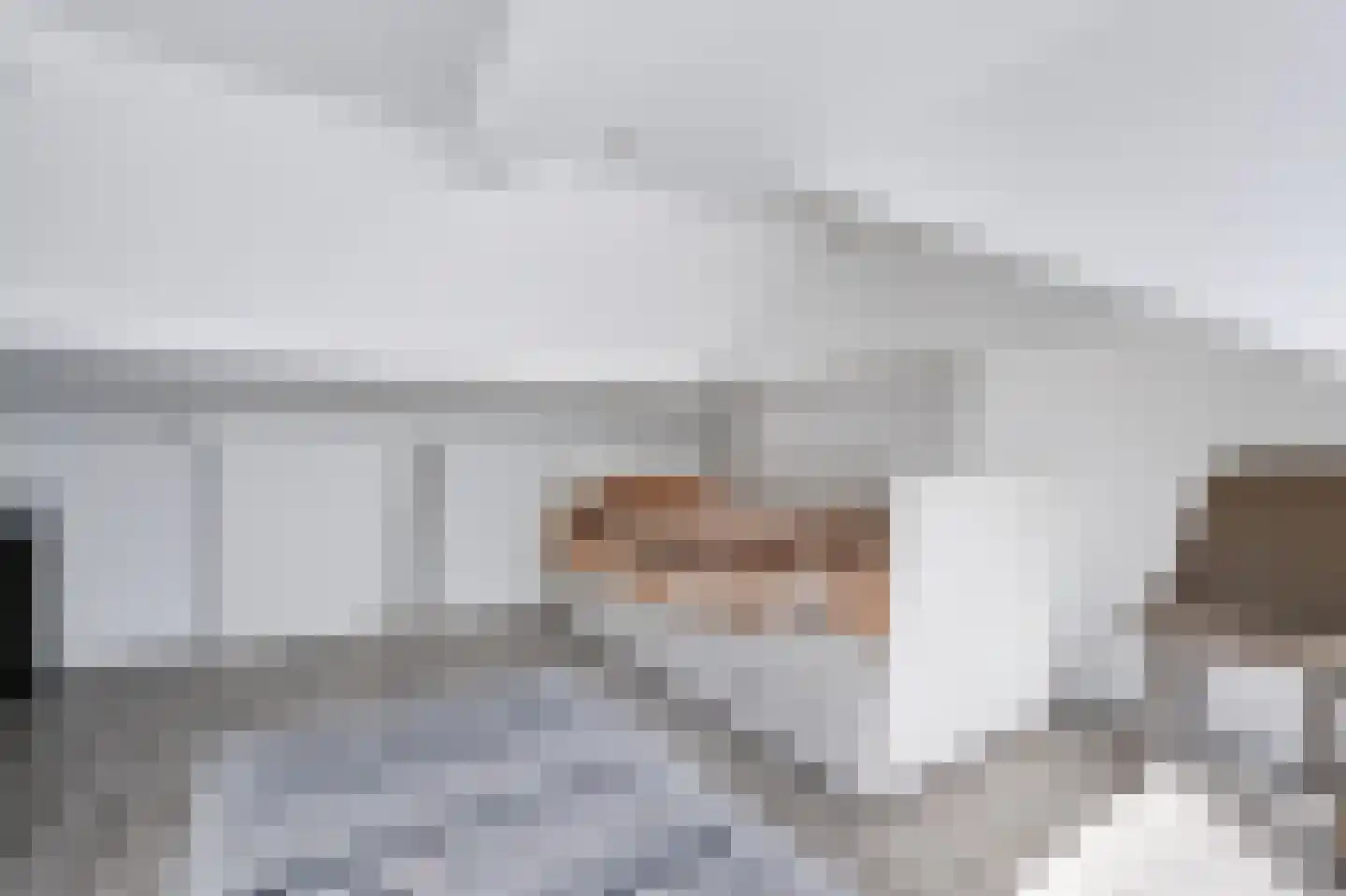 Fresiastraat 24 Spijkenisse thumbnail 27