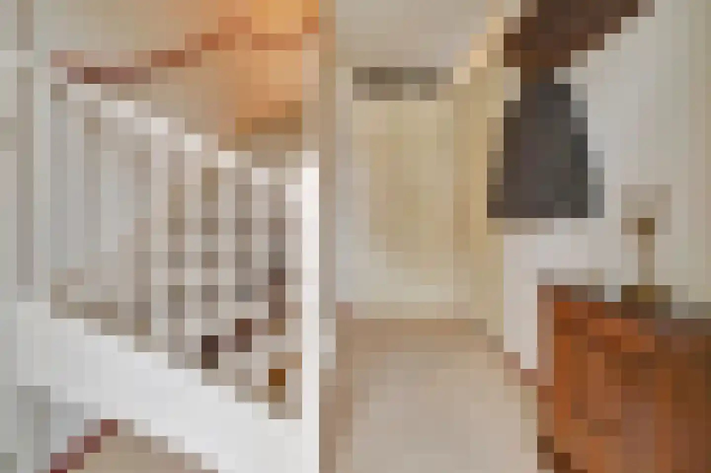 Fresiastraat 25 Wijk en Aalburg thumbnail 8