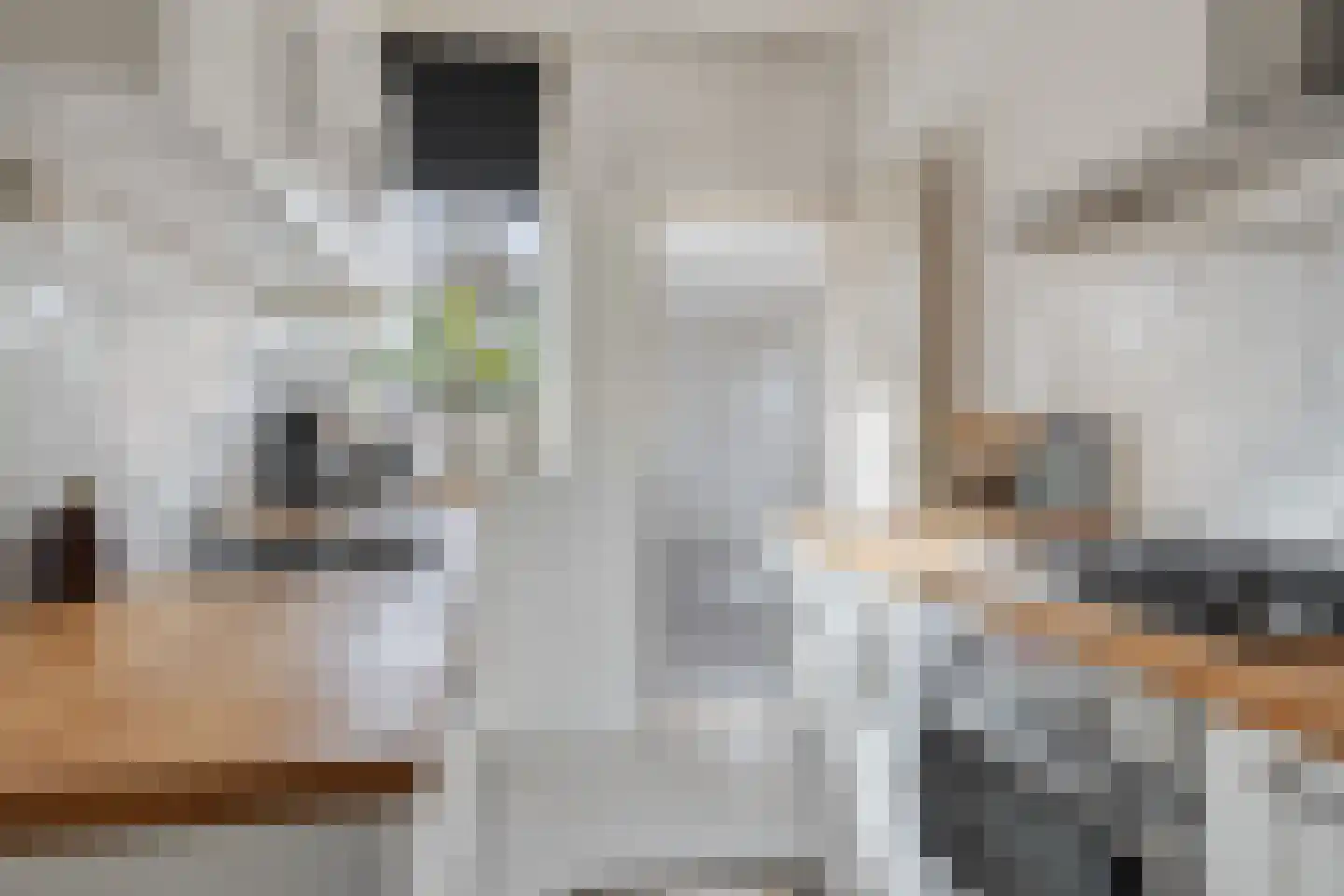 Fresiastraat 28 Sappemeer thumbnail 11