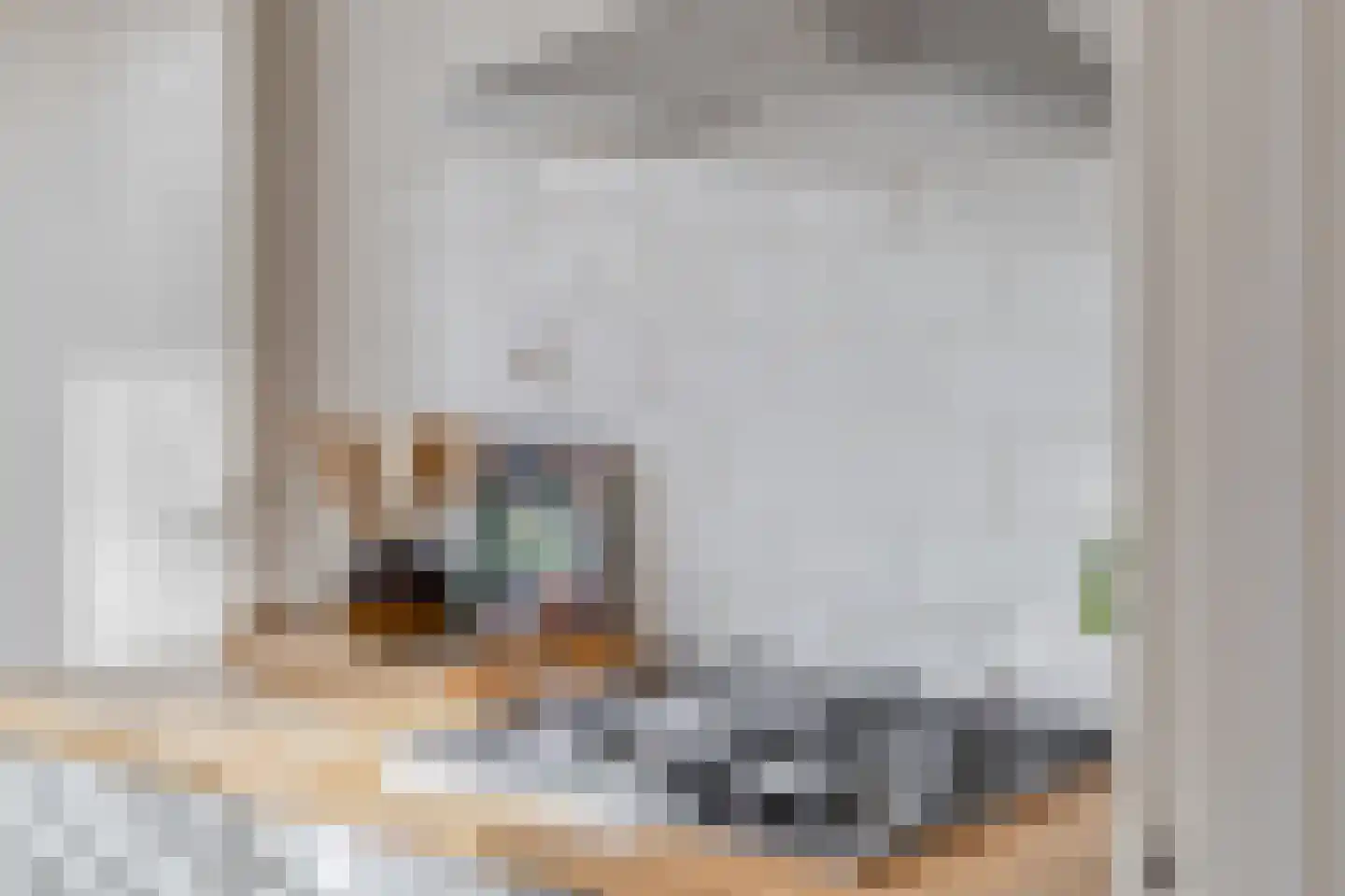 Fresiastraat 28 Sappemeer thumbnail 12