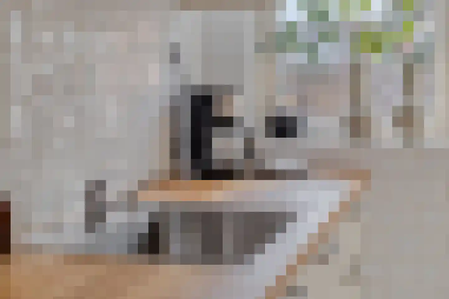 Fresiastraat 28 Sappemeer thumbnail 13