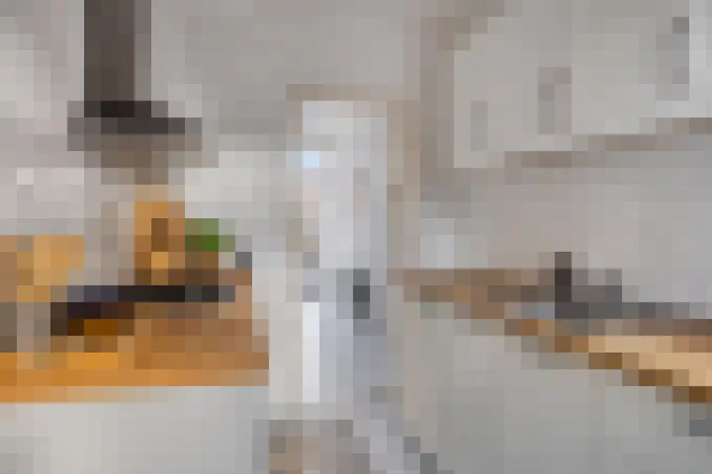 Fresiastraat 28 Sappemeer thumbnail 14