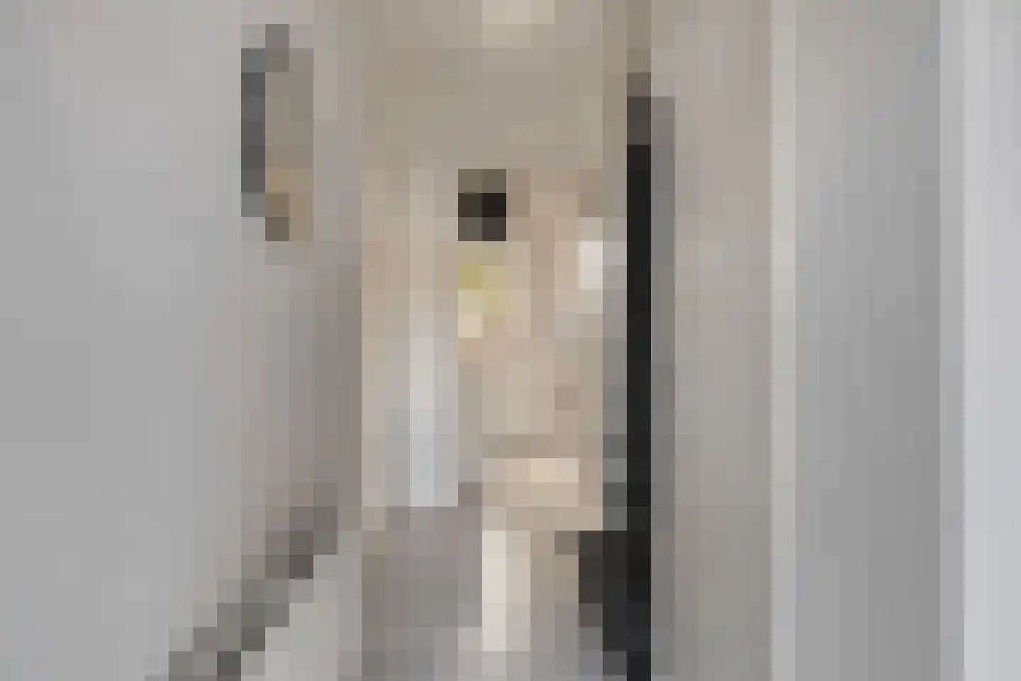 Fresiastraat 28 Sappemeer thumbnail 17