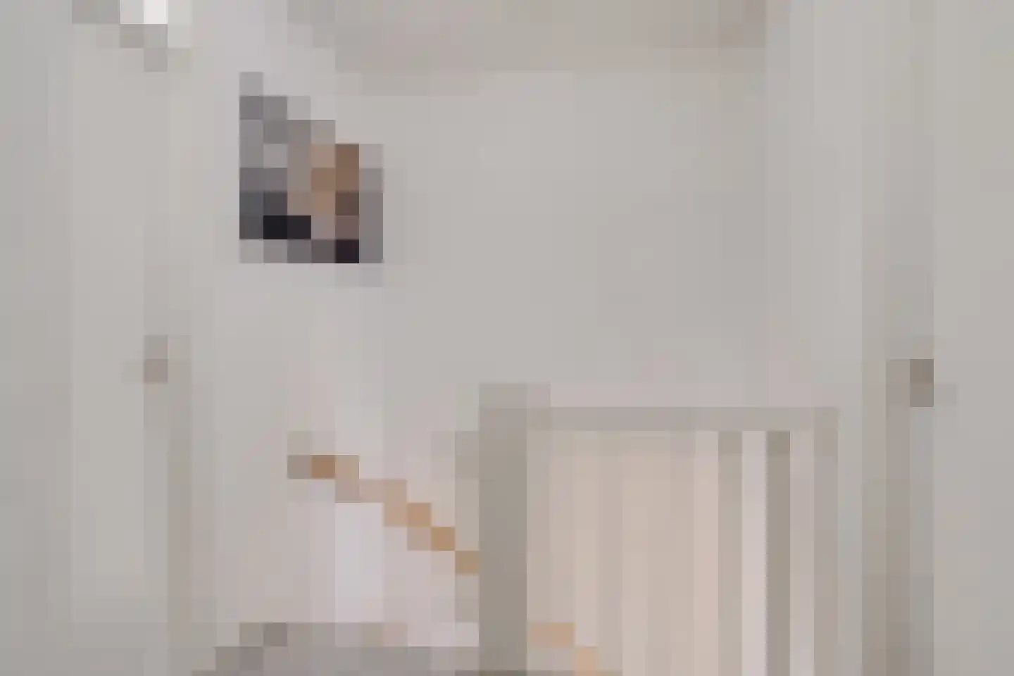 Fresiastraat 28 Sappemeer thumbnail 19