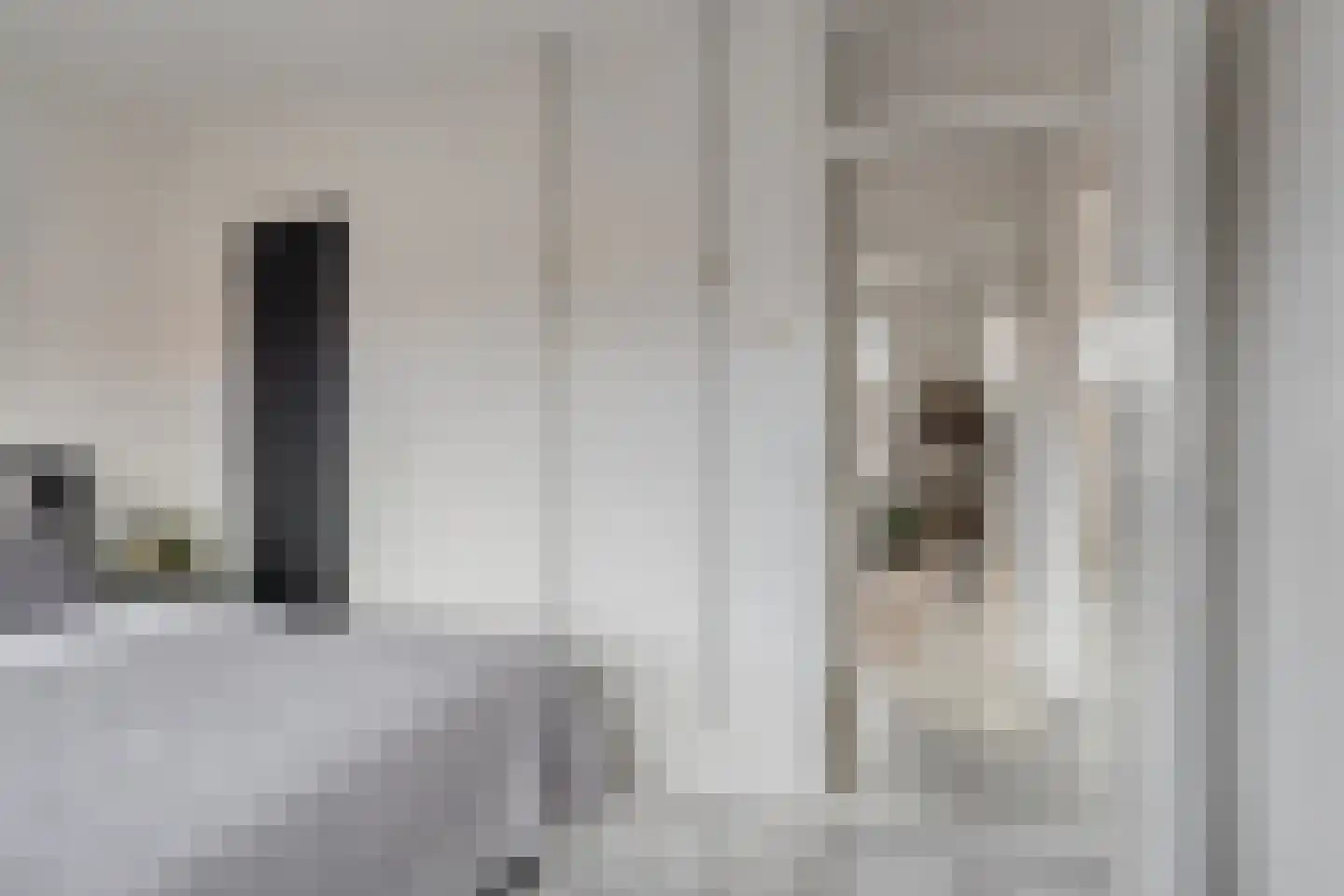 Fresiastraat 28 Sappemeer thumbnail 22