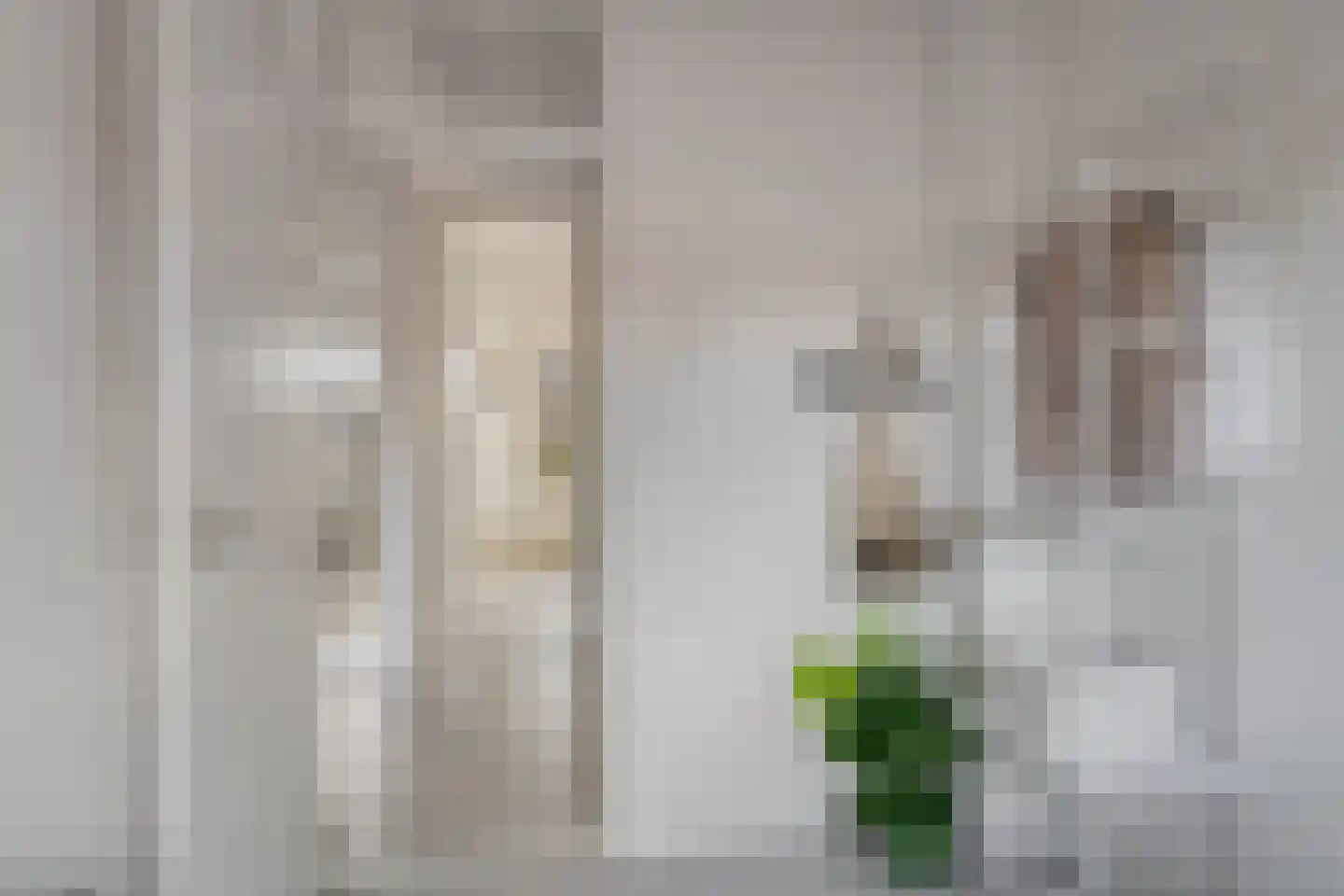 Fresiastraat 28 Sappemeer thumbnail 25