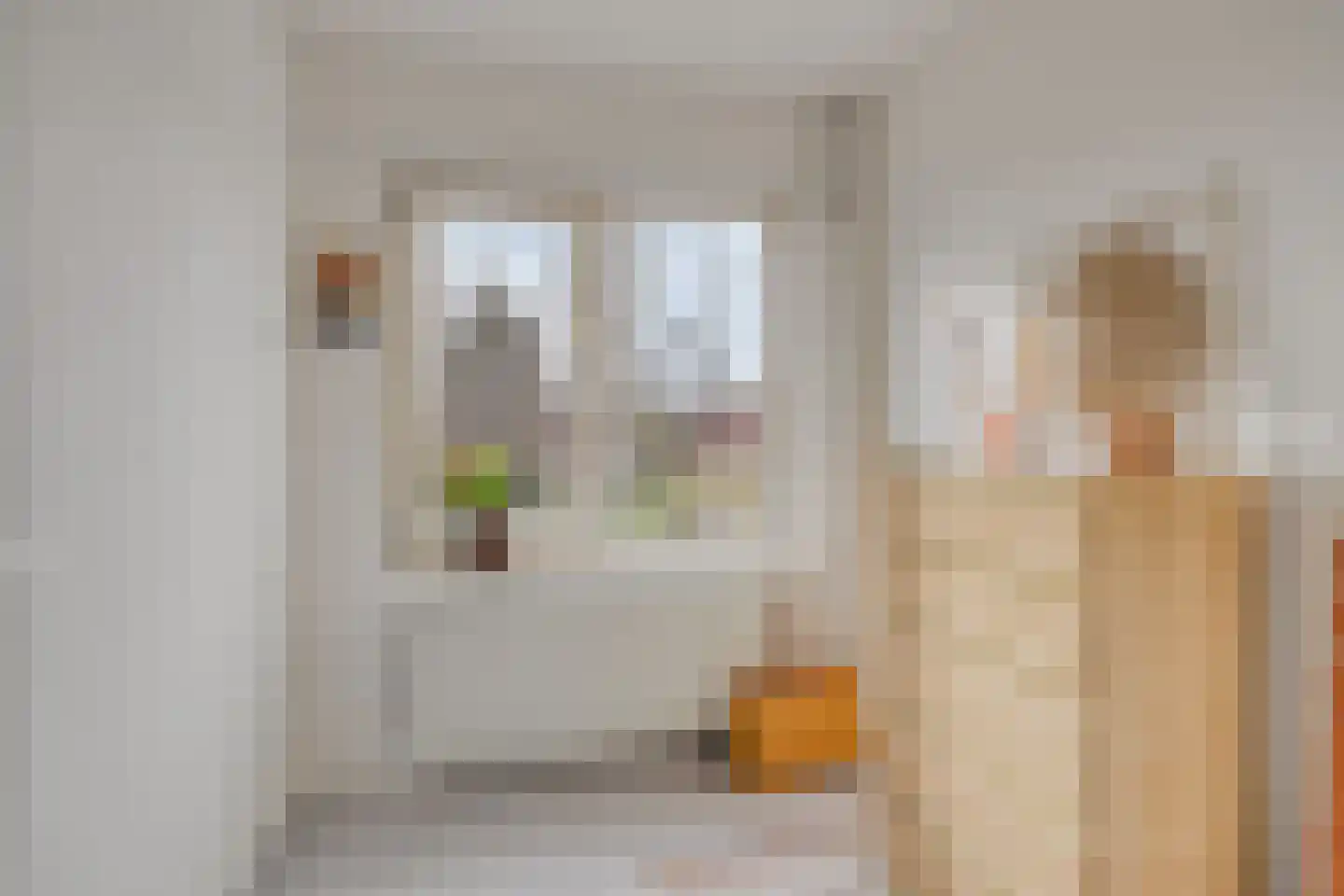 Fresiastraat 28 Sappemeer thumbnail 26
